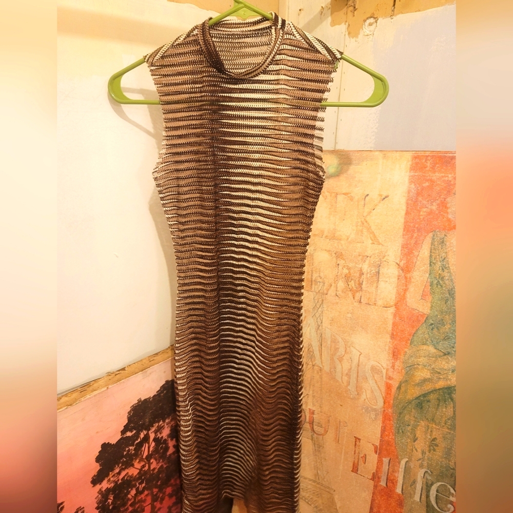 Sheer sexy dress.